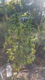 20161012_161111.jpg