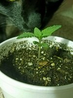 photo812.JPG