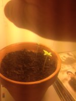 photo1334.JPG