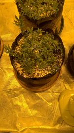 WP_20161104_16_56_37_Pro.jpg