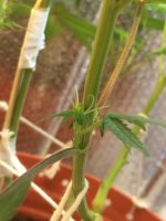 IMG_1715.JPG