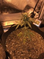 IMG_0165.JPG.jpeg