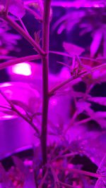 photo2018.jpg