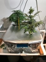 photo11069.jpg