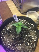 photo11217.jpg