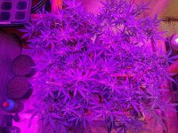 2017-02-24_19.47.05.jpg