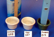 photo11538.png