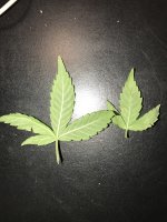 IMG_0562.JPG