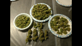 photo105110.png