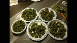 photo105112.png