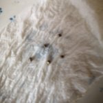 photo105614.jpg