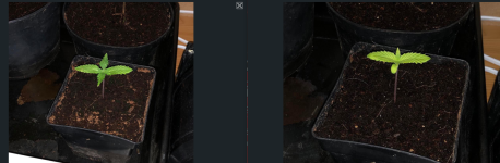 photo105645.png