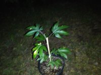 IMG_20200517_231841.jpg