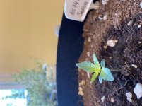 B268F983-A9CB-4046-935B-24857E4F3E3E.jpeg
