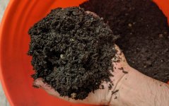 soil-before.jpeg
