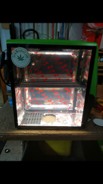 photo107705.png