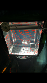 photo107711.png