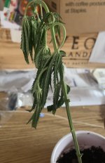 49E31465-01B6-4FBC-8D1A-1C2726FCBC44.jpeg