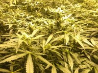 photo108879.jpg