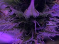 B4C50E5E-F7C5-4217-978F-8E8405BB3BA3.jpeg