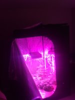 20200614_094552.jpg