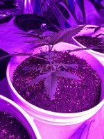 photo109116.jpg