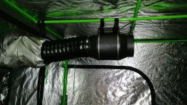 IMG_20200616_093550.jpg