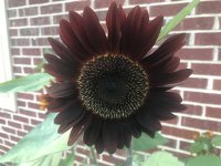 34ACC88A-0879-4D47-A46C-7F4DEB34FC31.jpeg