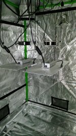 IMG_20200617_130150.jpg