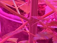 20200619_010755.jpg