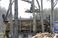 logs.jpg