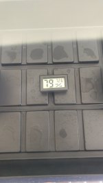 IMG_20200620_173948.jpg