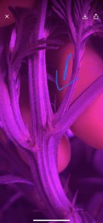 3A4C5D79-E396-4D6A-94AC-07C8C8A8A948.jpeg