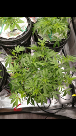 photo110527.png