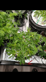 photo110530.png