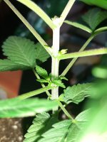 20200626_171414.jpg