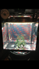 photo110766.png