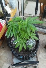 photo111012.jpg