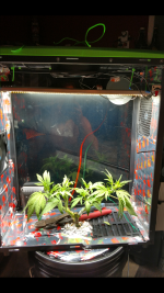 photo111507.png