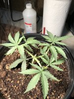 IMG_5648.JPEG