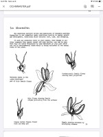 photo111764.png