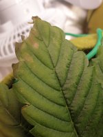20200707_101702.jpg