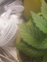 20200707_101618.jpg