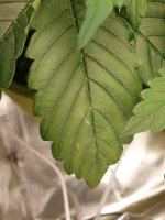 20200707_101648.jpg