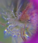 370C7B4D-53E8-480E-BC22-0A82AF62EB04.jpeg