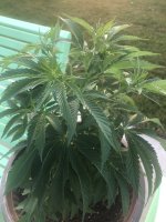 photo111913.jpg