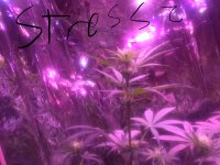 AAE347E0-EF8C-484D-9AAA-33FD1F01F95A.jpeg