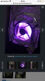 photo112945.png