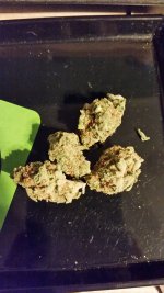 Banana Kush 3.jpg