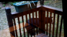 photo113764.png